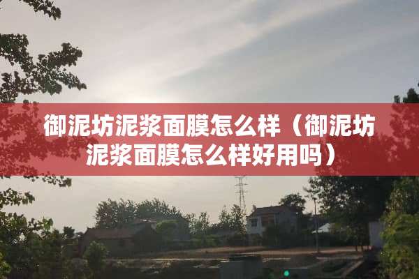 御泥坊泥浆面膜怎么样（御泥坊泥浆面膜怎么样好用吗）
