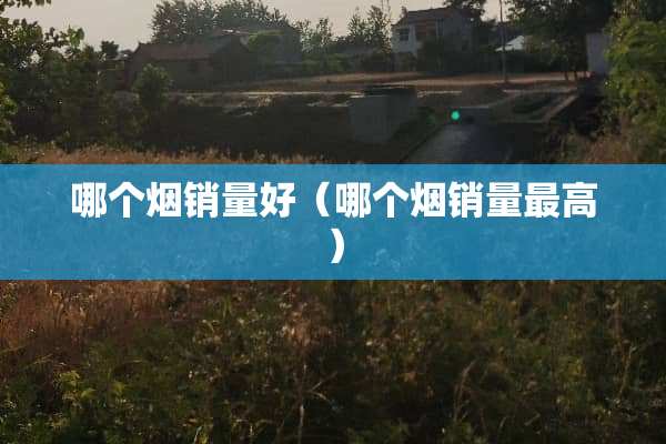 哪个烟销量好（哪个烟销量最高）