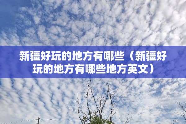新疆好玩的地方有哪些（新疆好玩的地方有哪些地方英文）