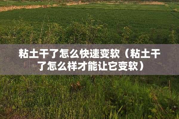 粘土干了怎么快速变软（粘土干了怎么样才能让它变软）