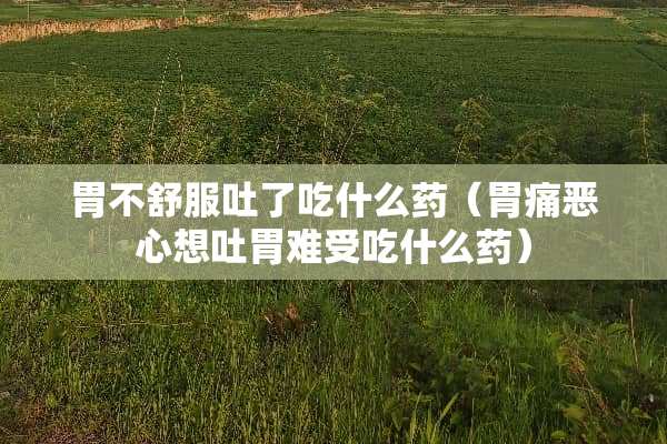 胃不舒服吐了吃什么药（胃痛恶心想吐胃难受吃什么药）