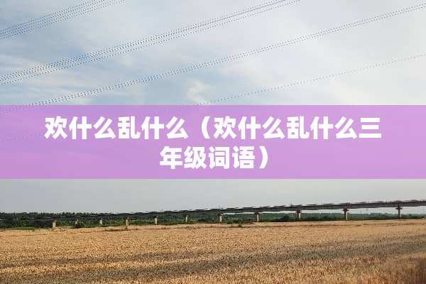 欢什么乱什么（欢什么乱什么三年级词语）