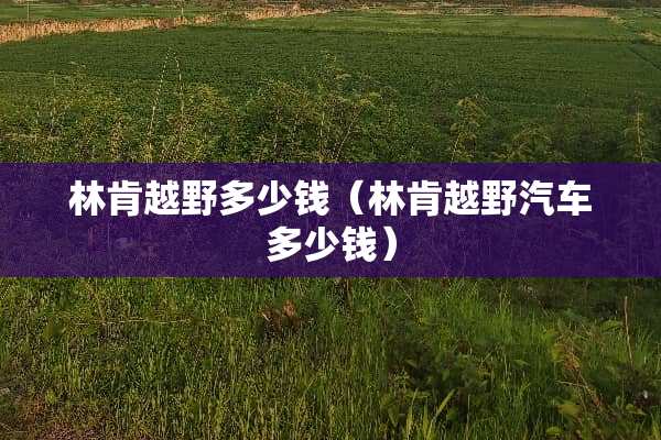 林肯越野多少钱（林肯越野汽车多少钱）
