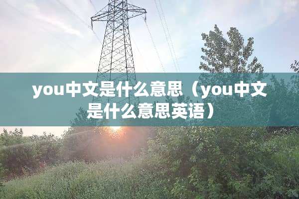you中文是什么意思（you中文是什么意思英语）