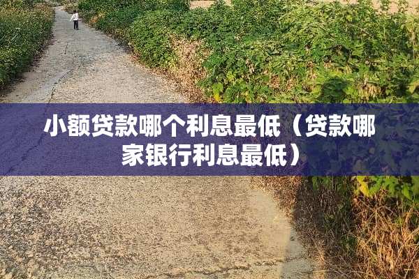 小额贷款哪个利息最低（贷款哪家银行利息最低）