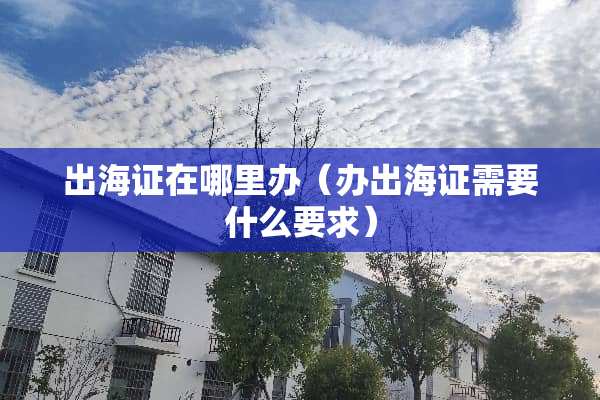 出海证在哪里办（办出海证需要什么要求）