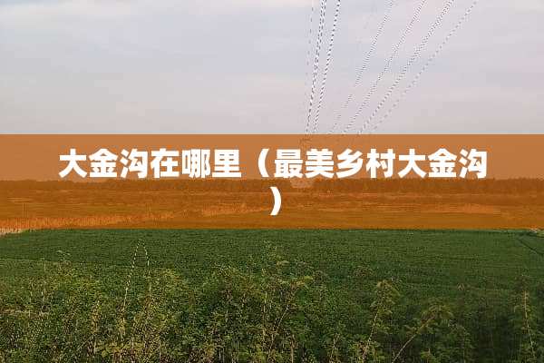 大金沟在哪里（最美乡村大金沟）