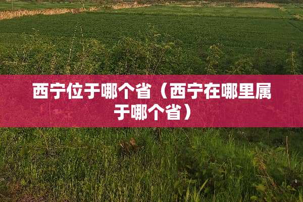 西宁位于哪个省（西宁在哪里属于哪个省）