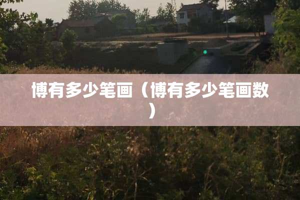 博有多少笔画（博有多少笔画数）