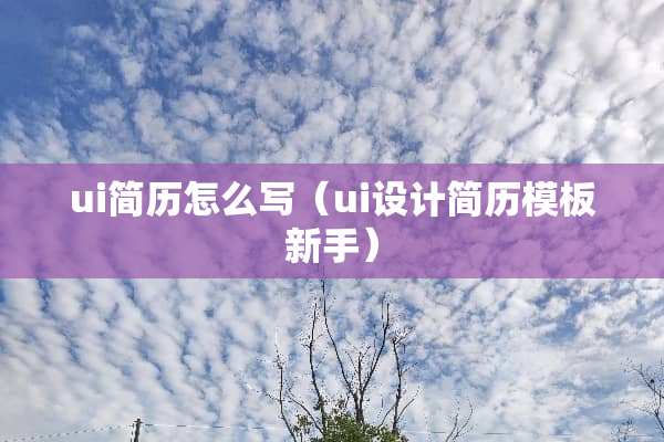 ui简历怎么写（ui设计简历模板新手）