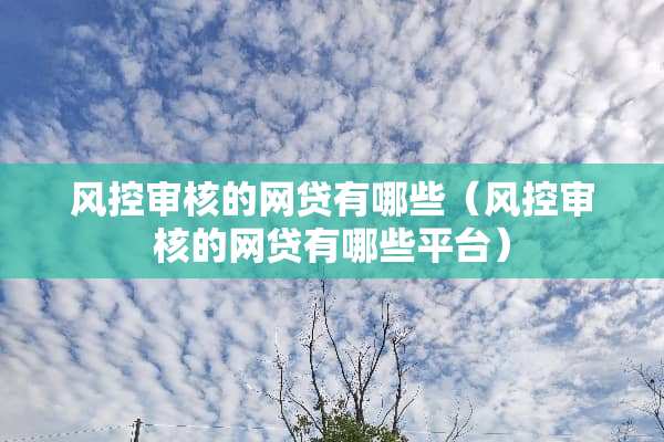 风控审核的**有哪些（风控审核的**有哪些平台）