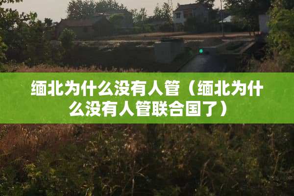 缅北为什么没有人管（缅北为什么没有人管联合国了）