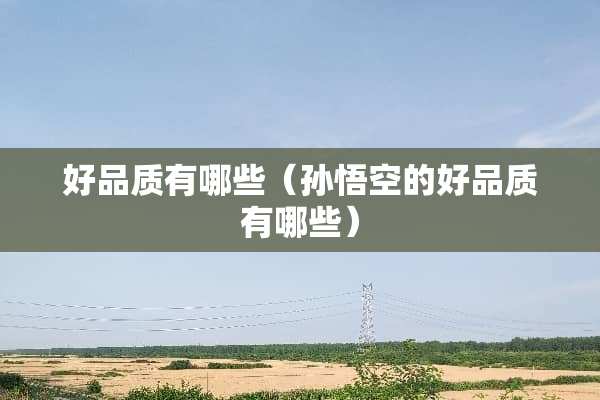 好品质有哪些（孙悟空的好品质有哪些）