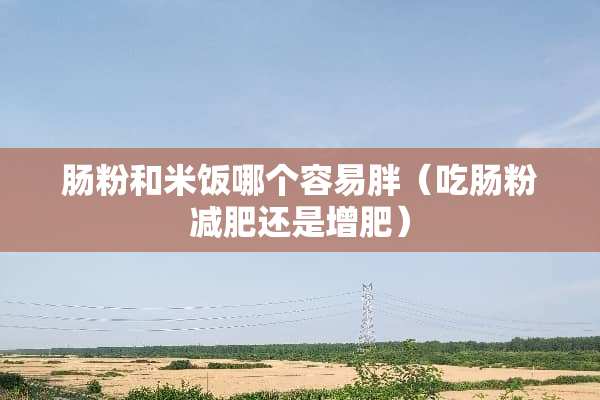 肠粉和米饭哪个容易胖（吃肠粉减肥还是增肥）
