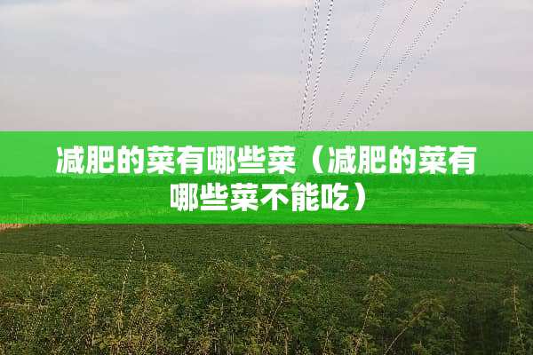 减肥的菜有哪些菜（减肥的菜有哪些菜不能吃）