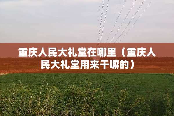 重庆人民大礼堂在哪里（重庆人民大礼堂用来干嘛的）