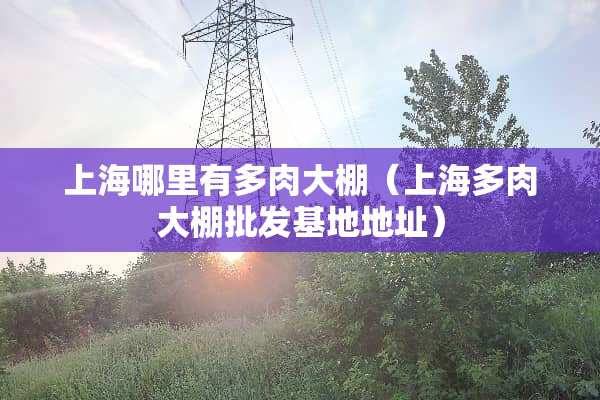 上海哪里有多肉大棚（上海多肉大棚批发基地地址）