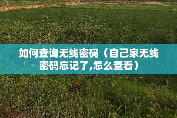 如何查询无线密码（自己家无线密码忘记了,怎么查看）