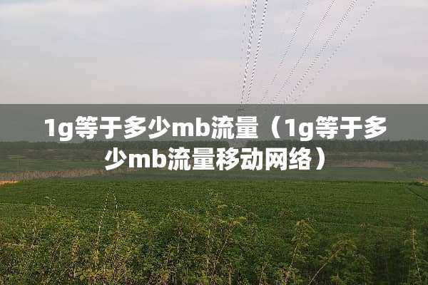 1g等于多少mb流量（1g等于多少mb流量移动网络）