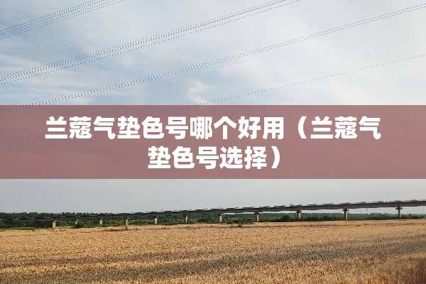 兰蔻气垫色号哪个好用（兰蔻气垫色号选择）