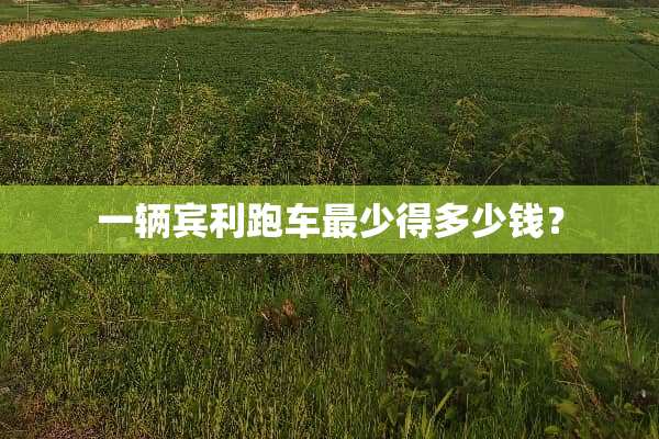 一辆宾利跑车最少得多少钱？