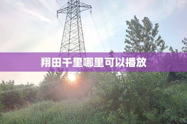 翔田千里哪里可以播放