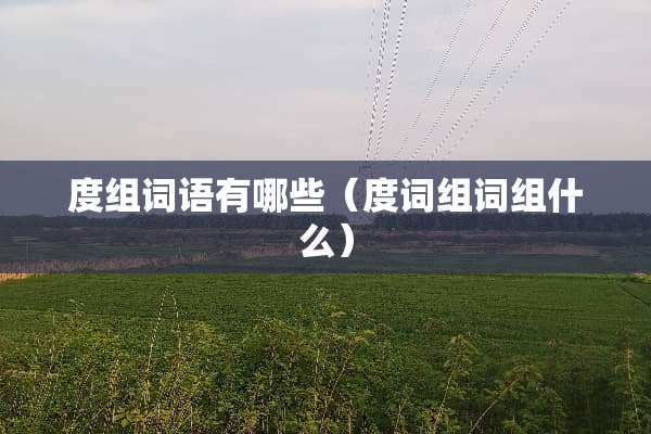 度组词语有哪些（度词组词组什么）