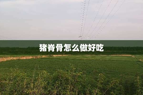 猪脊骨怎么做好吃