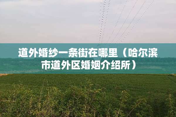 道外婚纱一条街在哪里（哈尔滨市道外区婚姻介绍所）
