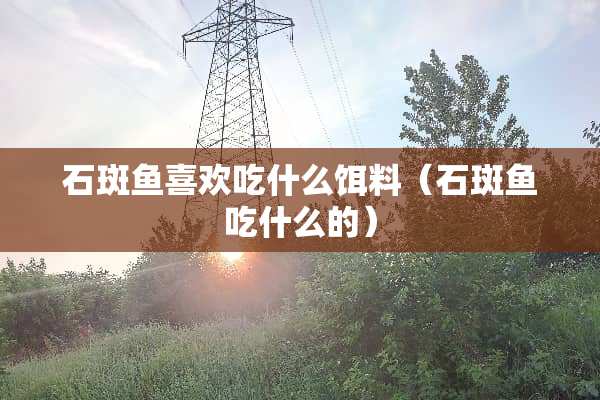 石斑鱼喜欢吃什么饵料（石斑鱼吃什么的）