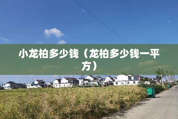 小龙柏多少钱（龙柏多少钱一平方）