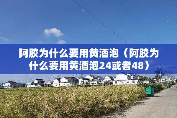 阿胶为什么要用黄酒泡（阿胶为什么要用黄酒泡24或者48）