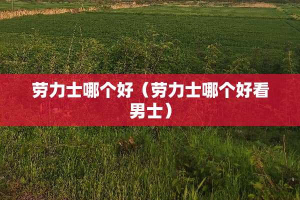 劳力士哪个好（劳力士哪个好看男士）