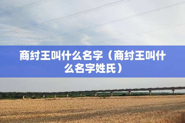 商纣王叫什么名字（商纣王叫什么名字姓氏）