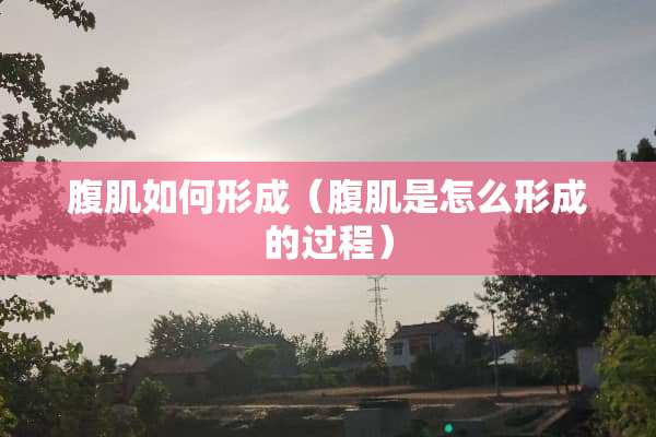 腹肌如何形成（腹肌是怎么形成的过程）