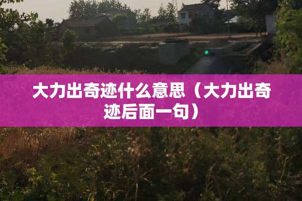 大力出奇迹什么意思（大力出奇迹后面一句）
