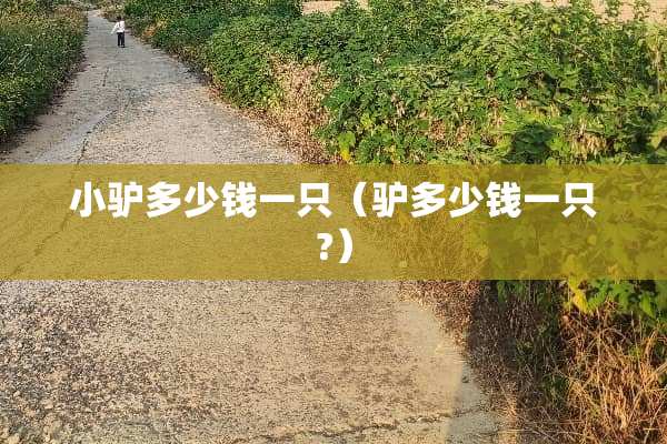 小驴多少钱一只（驴多少钱一只?）