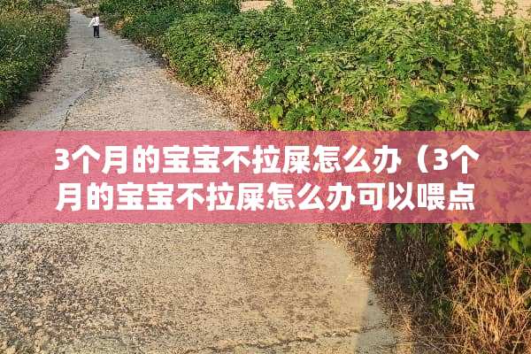 3个月的宝宝不拉屎怎么办（3个月的宝宝不拉屎怎么办可以喂点益生菌吗）