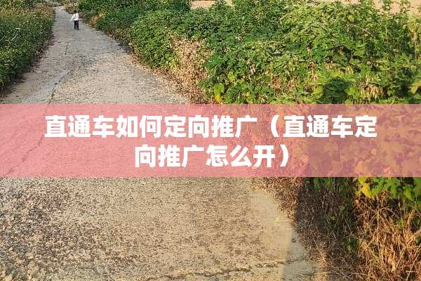 直通车如何定向推广（直通车定向推广怎么开）