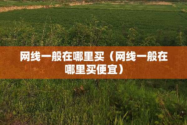 网线一般在哪里买（网线一般在哪里买便宜）