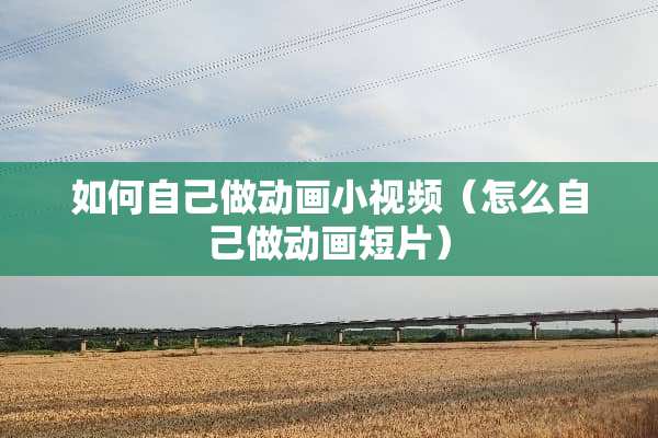 如何自己做动画小视频（怎么自己做动画短片）