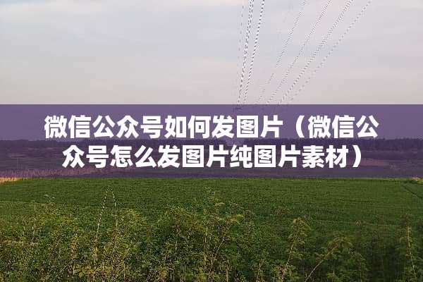 微信公众号如何发图片（微信公众号怎么发图片纯图片素材）