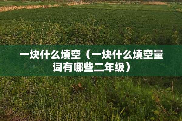 一块什么填空（一块什么填空量词有哪些二年级）