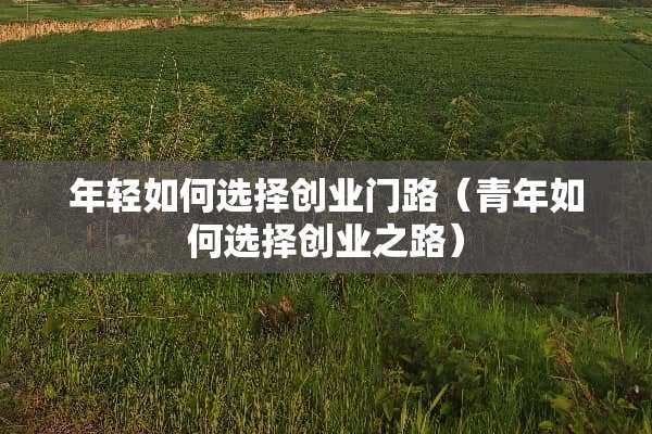 年轻如何选择创业门路（青年如何选择创业之路）