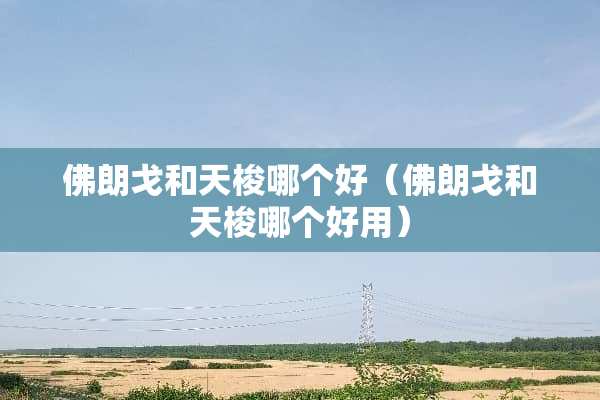 佛朗戈和天梭哪个好（佛朗戈和天梭哪个好用）