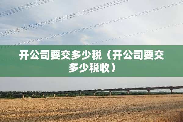 开公司要交多少税（开公司要交多少税收）