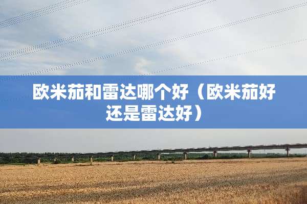欧米茄和雷达哪个好（欧米茄好还是雷达好）