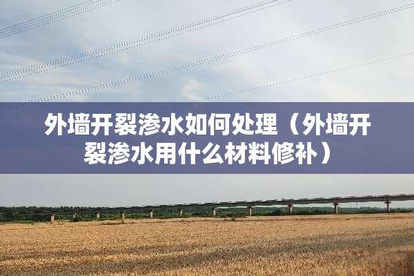 外墙开裂渗水如何处理（外墙开裂渗水用什么材料修补）