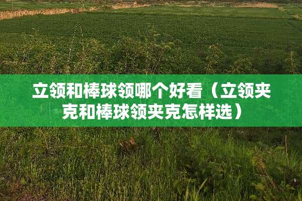 立领和棒球领哪个好看（立领夹克和棒球领夹克怎样选）