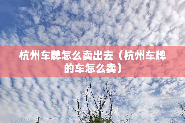 杭州车牌怎么卖出去（杭州车牌的车怎么卖）